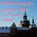 Mikrobiologiskt vårmöte i Kalmar 21-23 april 2004. Klicka här för mera info!